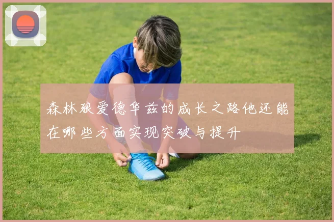 森林狼爱德华兹的成长之路他还能在哪些方面实现突破与提升