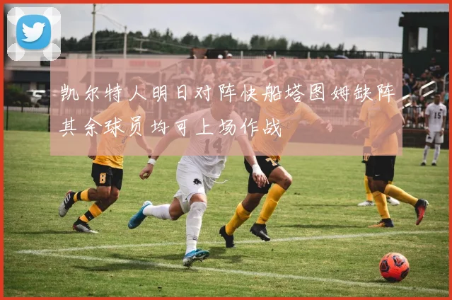凯尔特人明日对阵快船塔图姆缺阵其余球员均可上场作战